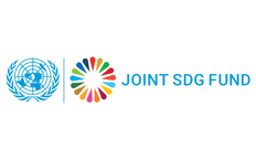 联合国可持续发展目标联合基金