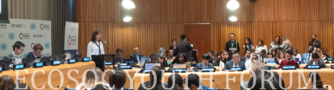 ECOSOC Youth Forum Official Side Event on Trustworthy Data and Responsible AI.